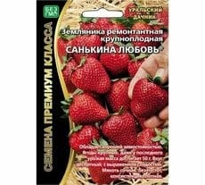 Ремонтантная земляника Санькина Любовь